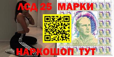 МДПВ Новодвинск