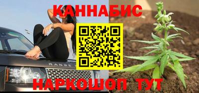МДПВ Новодвинск