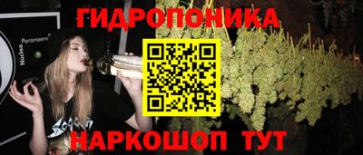 дживик Нальчик