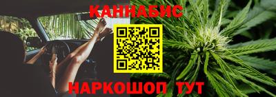 МДПВ Новодвинск