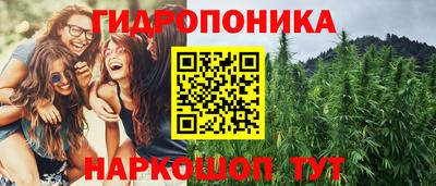 МДПВ Новодвинск