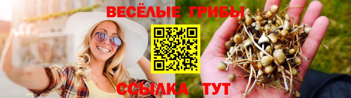Галлюциногенные грибы Cubensis Томск